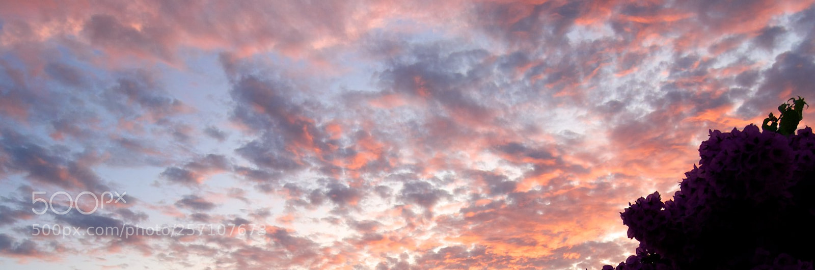 Nikon D60 sample photo. Version photography
