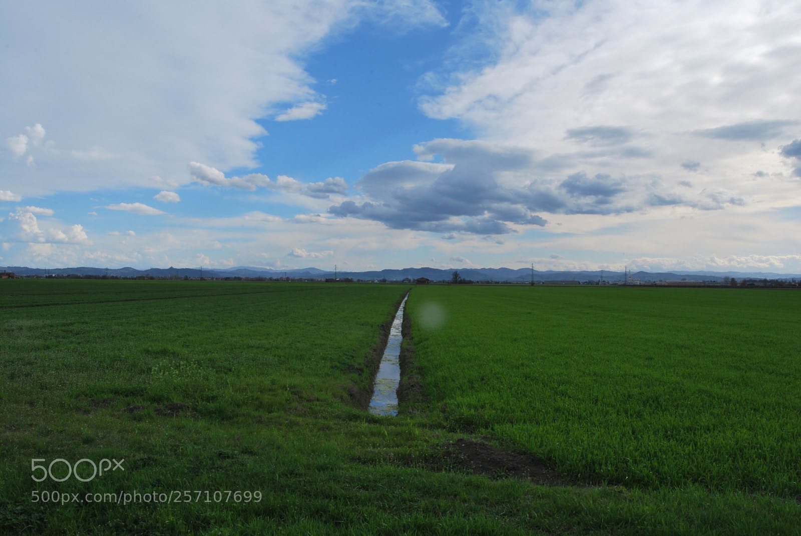 Nikon D60 sample photo. Version photography