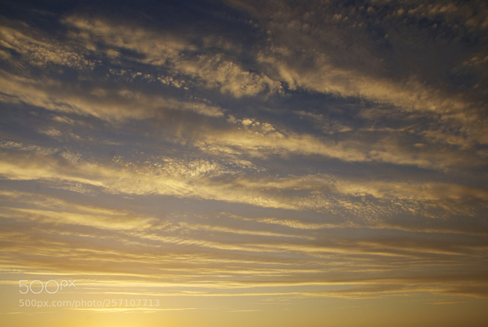 Nikon D60 sample photo. Version photography