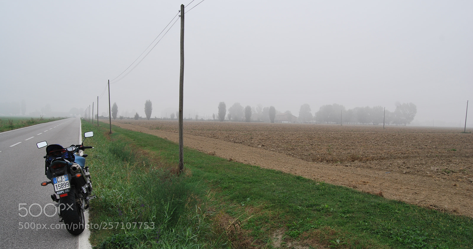 Nikon D60 sample photo. Version photography