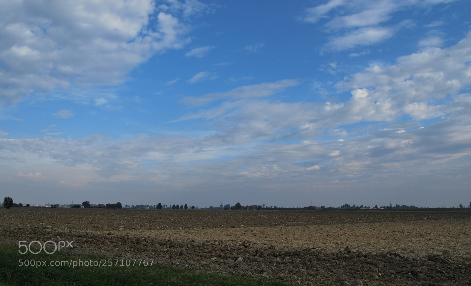 Nikon D60 sample photo. Version photography