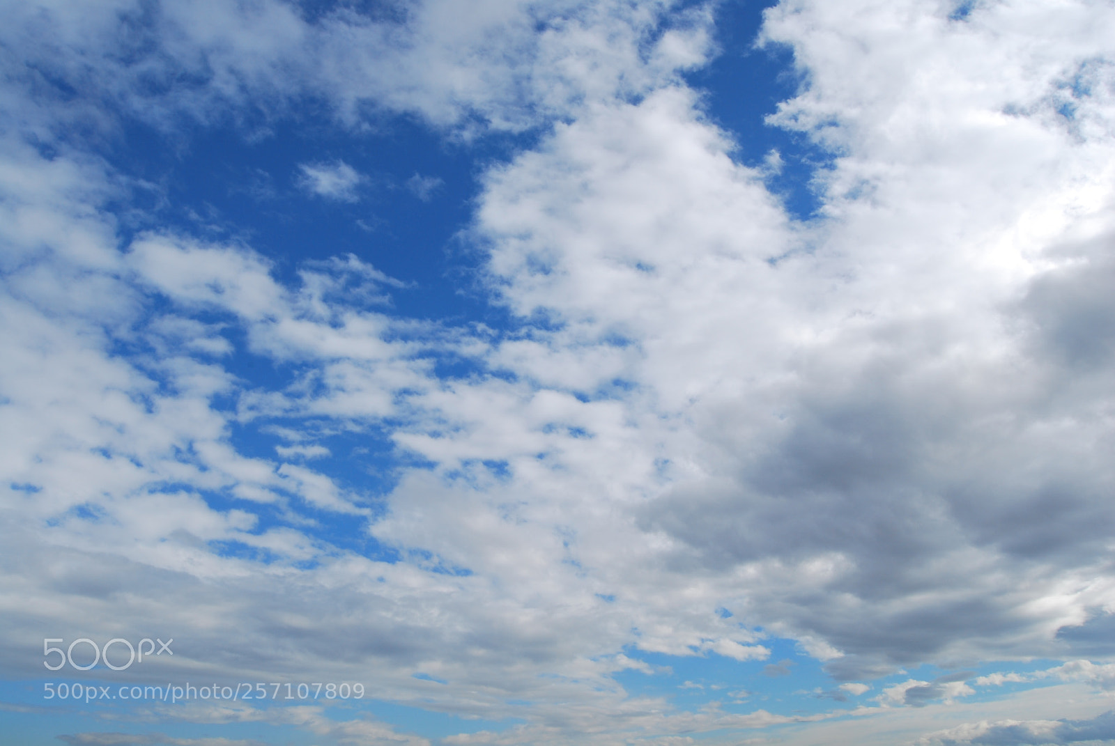 Nikon D60 sample photo. Photo (t) photography