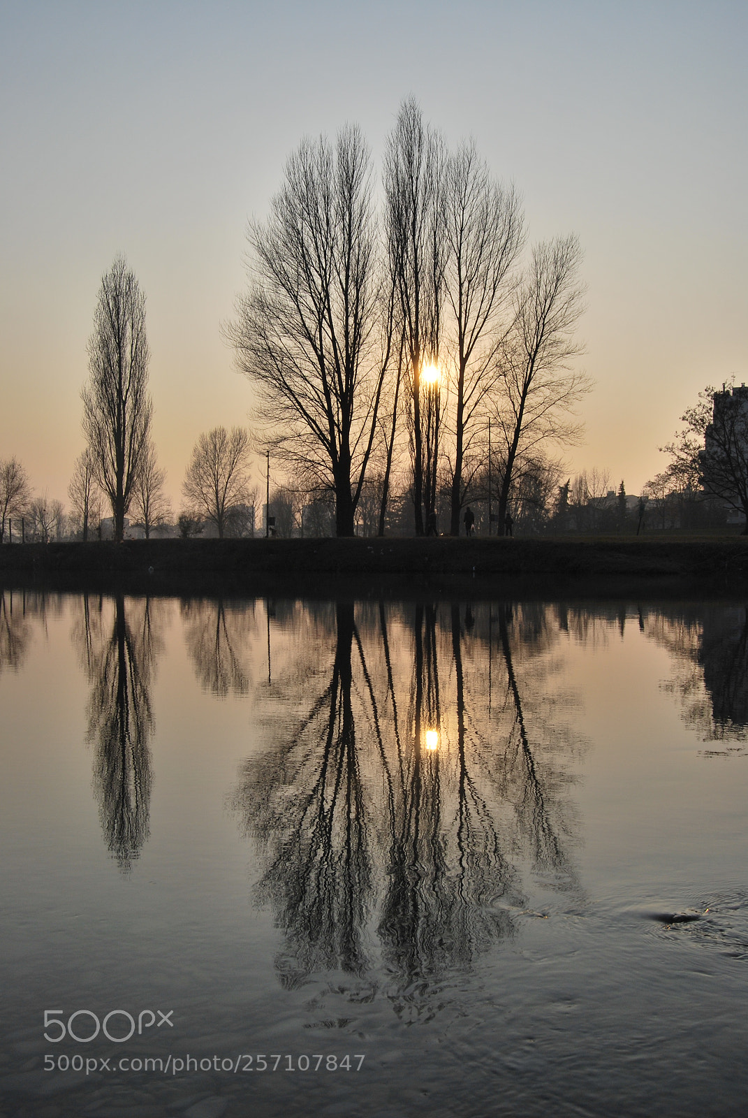 Nikon D60 sample photo. Reno river in bologna photography