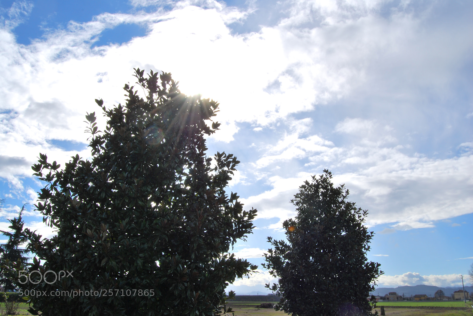 Nikon D60 sample photo. Photo (t) photography