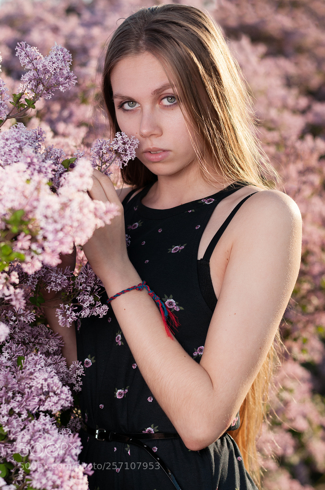 Nikon D300S sample photo. Wiki photography