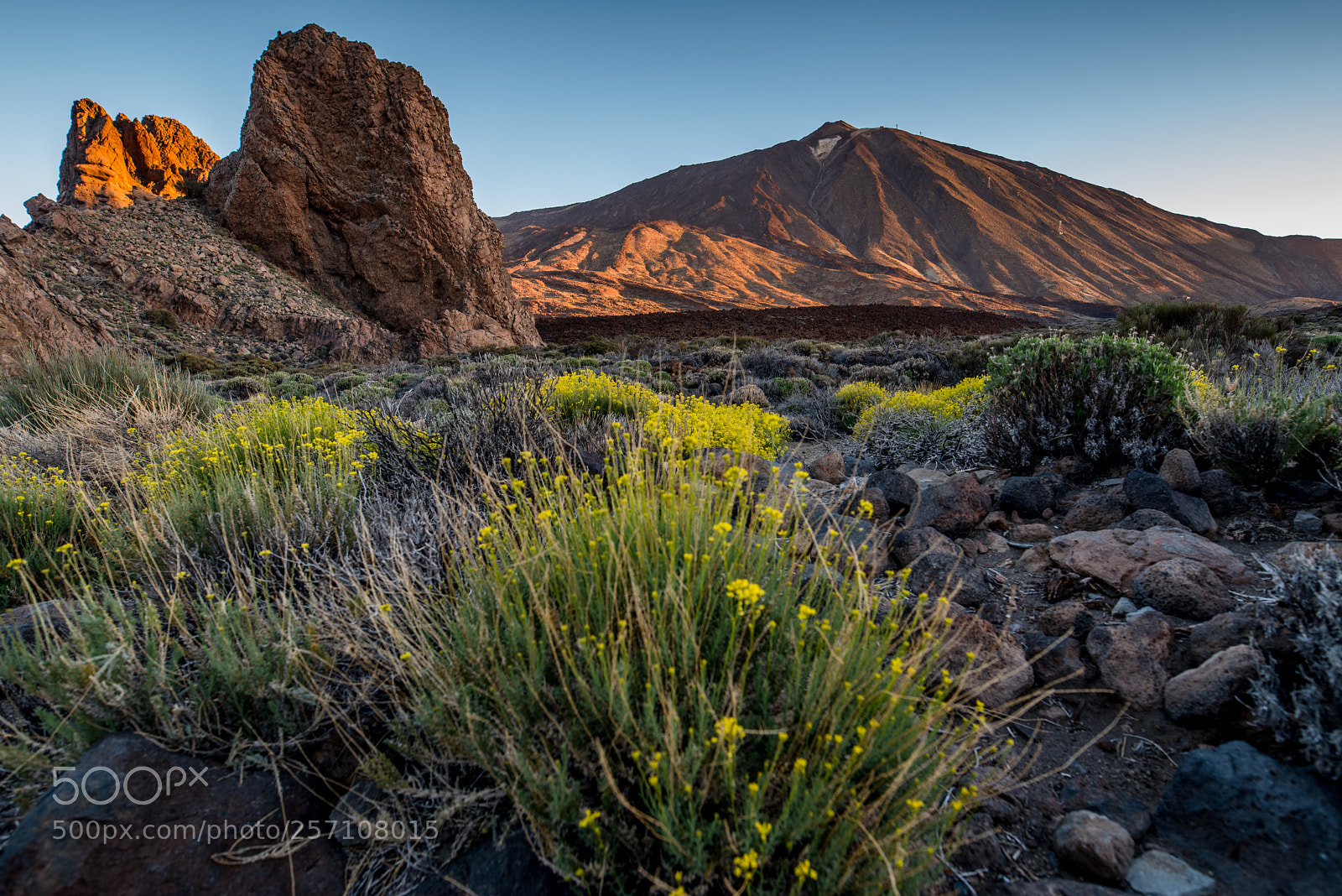 Nikon D750 sample photo. Teide national park photography