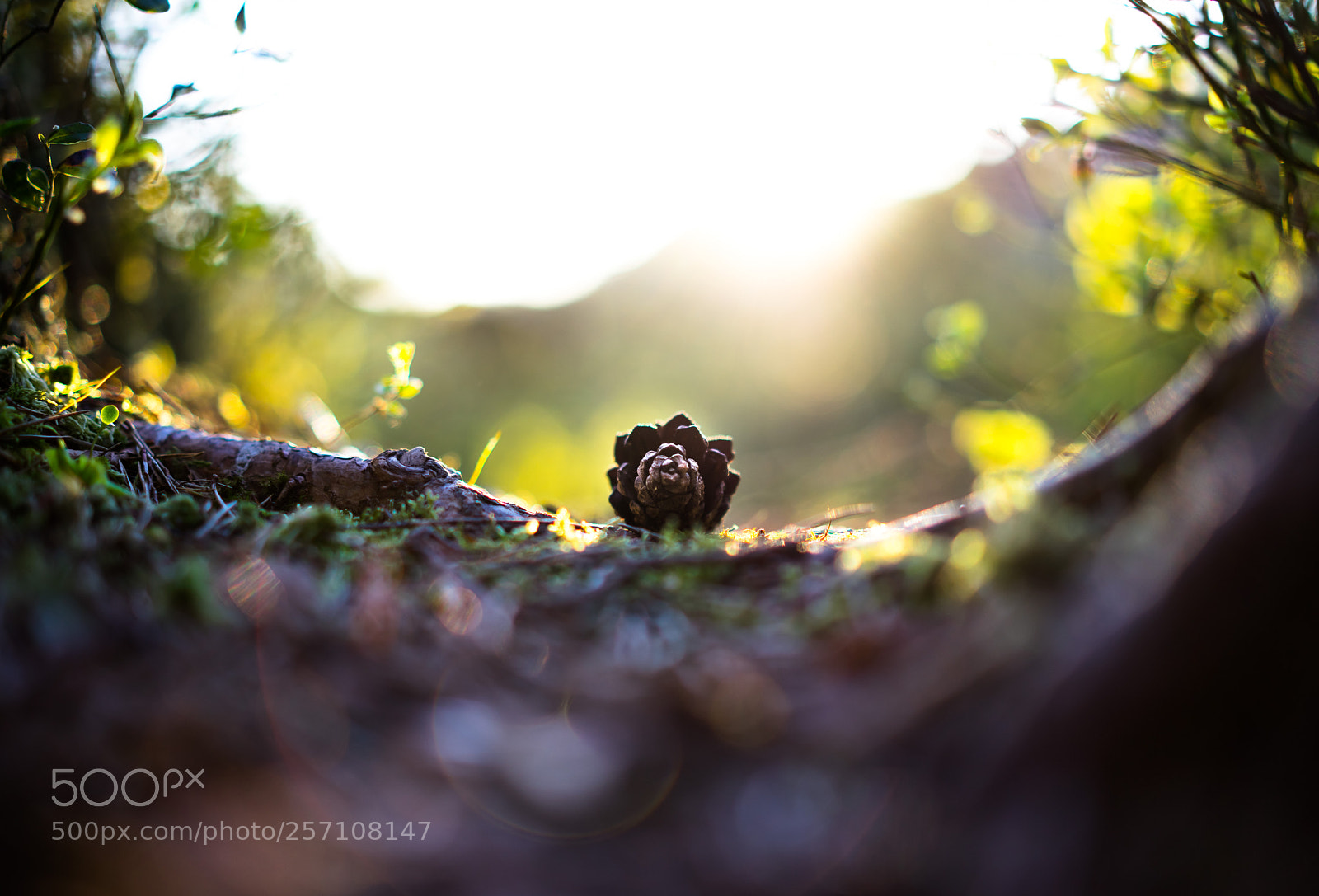 Sony a7 II sample photo. Kongle photography