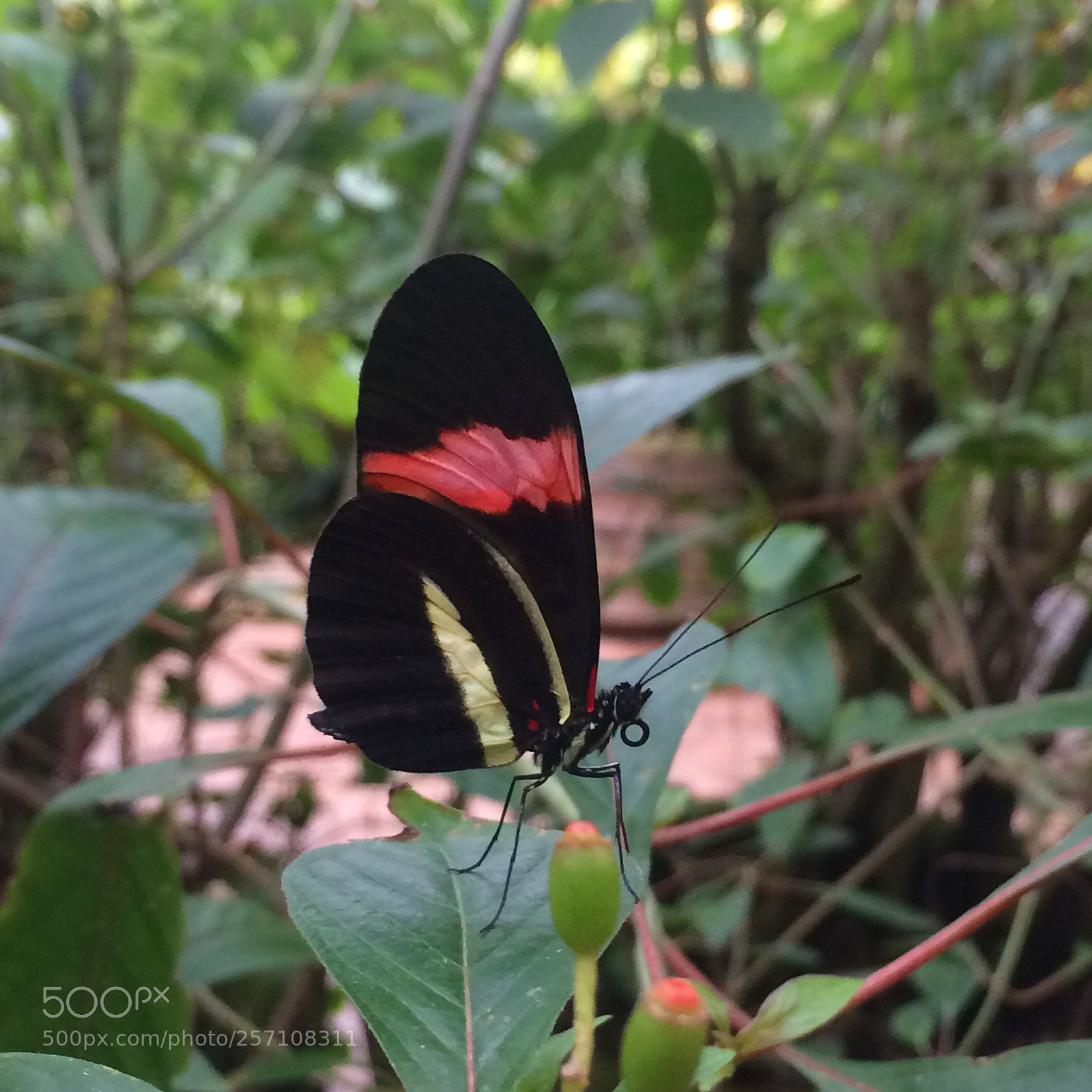 Apple iPhone 5s sample photo. The pleasure of freedom! photography