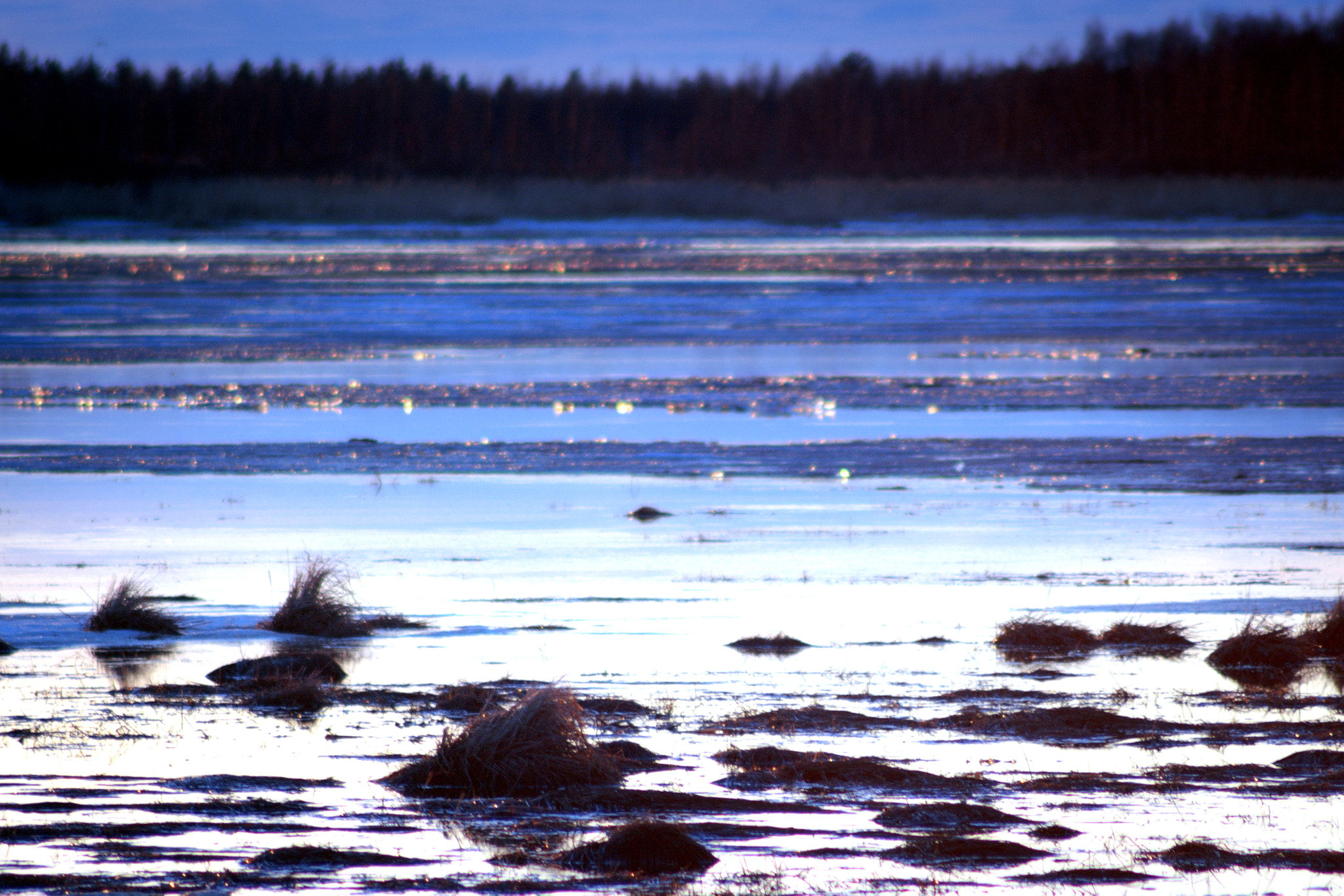 Tamron AF 70-300mm F4-5.6 LD Macro 1:2 sample photo. Blue water and some ice photography