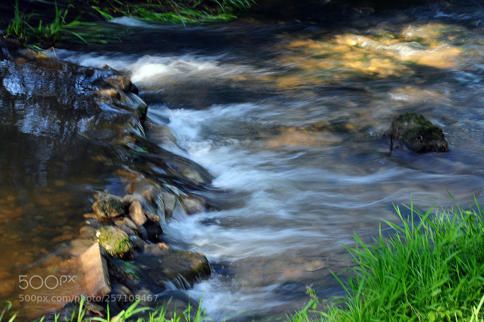 Nikon D90 sample photo. Like a paint photography