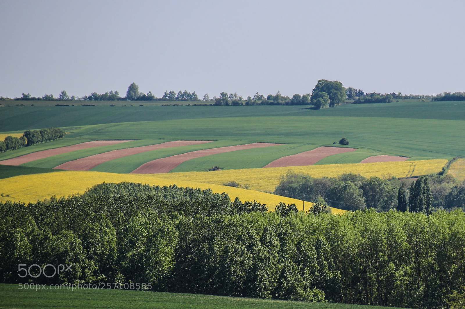 Canon EOS 100D (EOS Rebel SL1 / EOS Kiss X7) sample photo. Percheronnes hills,collines percheronnes photography