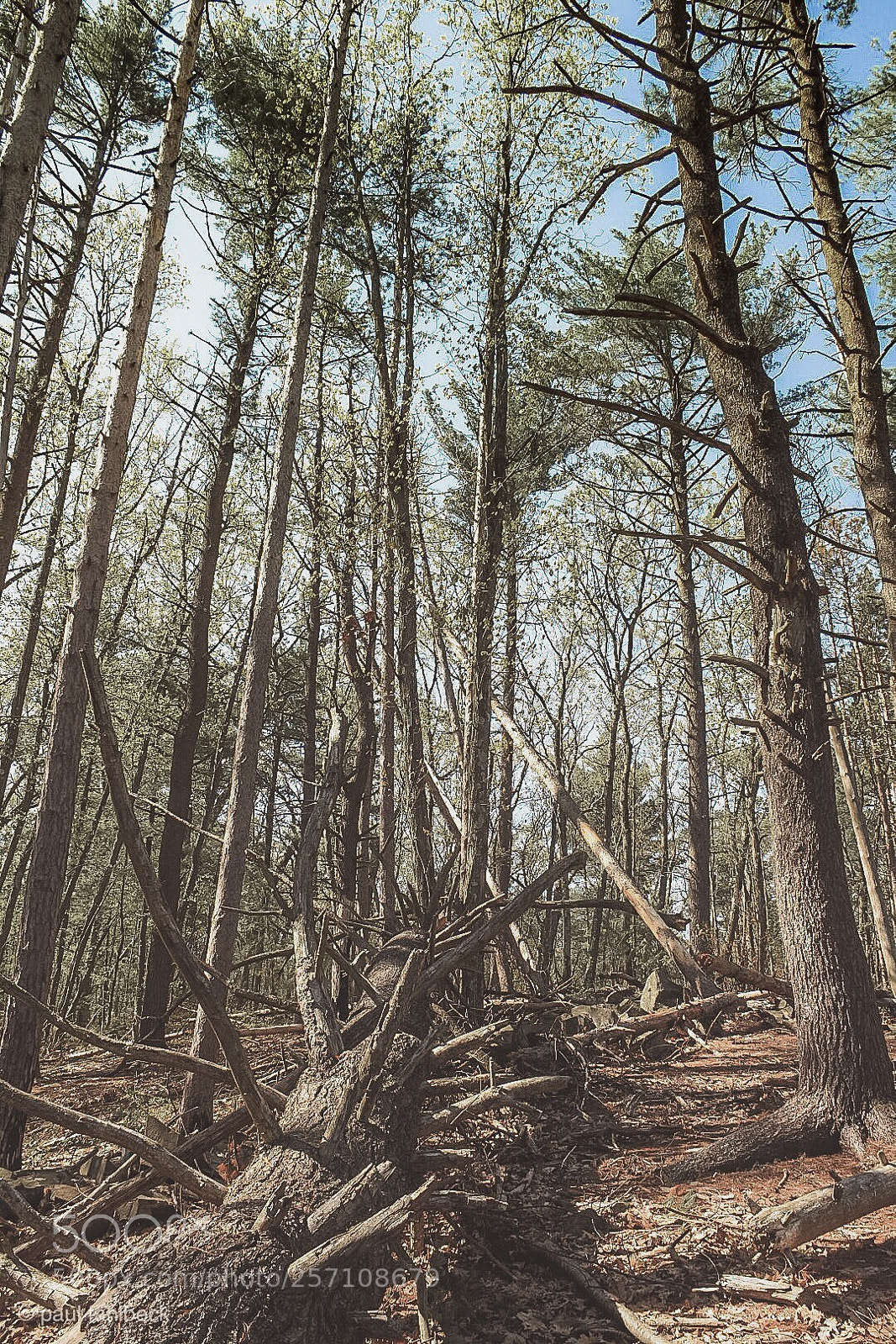 Nikon D7200 sample photo. Afternoon hike photography