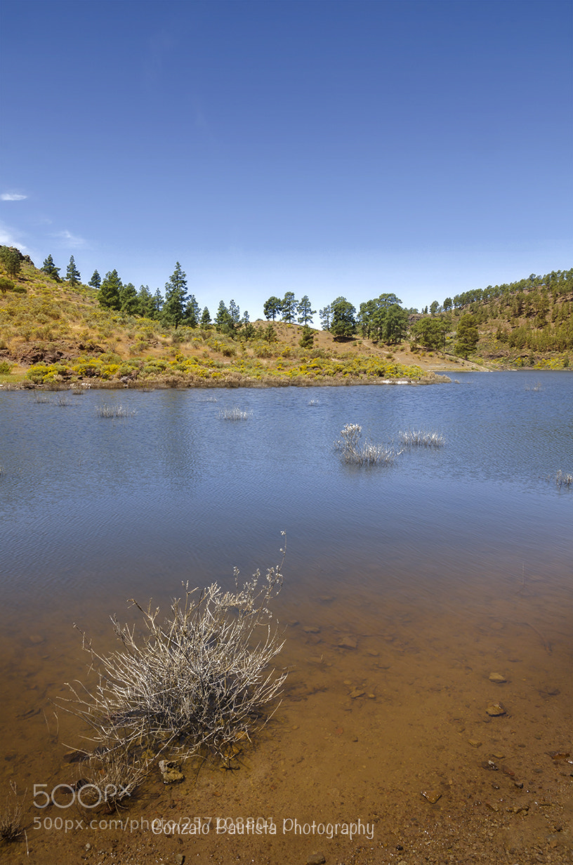 Nikon D7000 sample photo. Presa de las ni photography