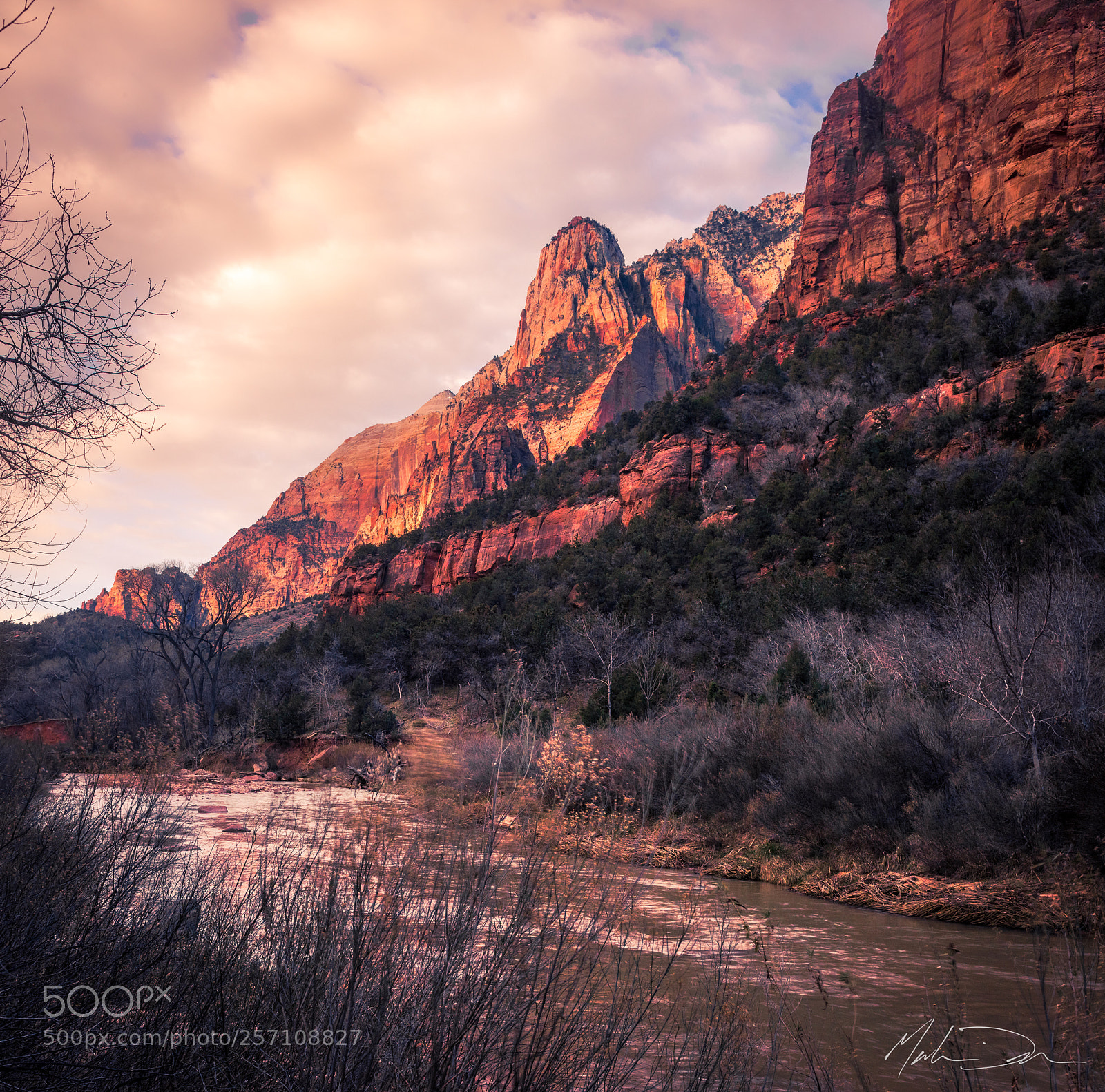 Nikon D810 sample photo. Zion sunrise photography