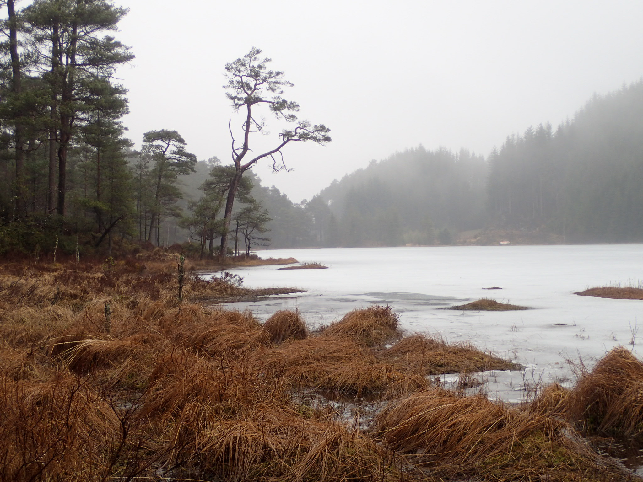 Olympus TG-4 sample photo. End of winter 3 photography
