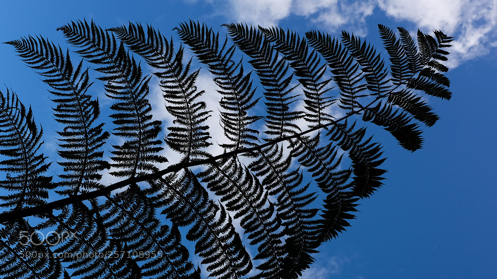 Fujifilm X100T sample photo. New zealand wind. photography
