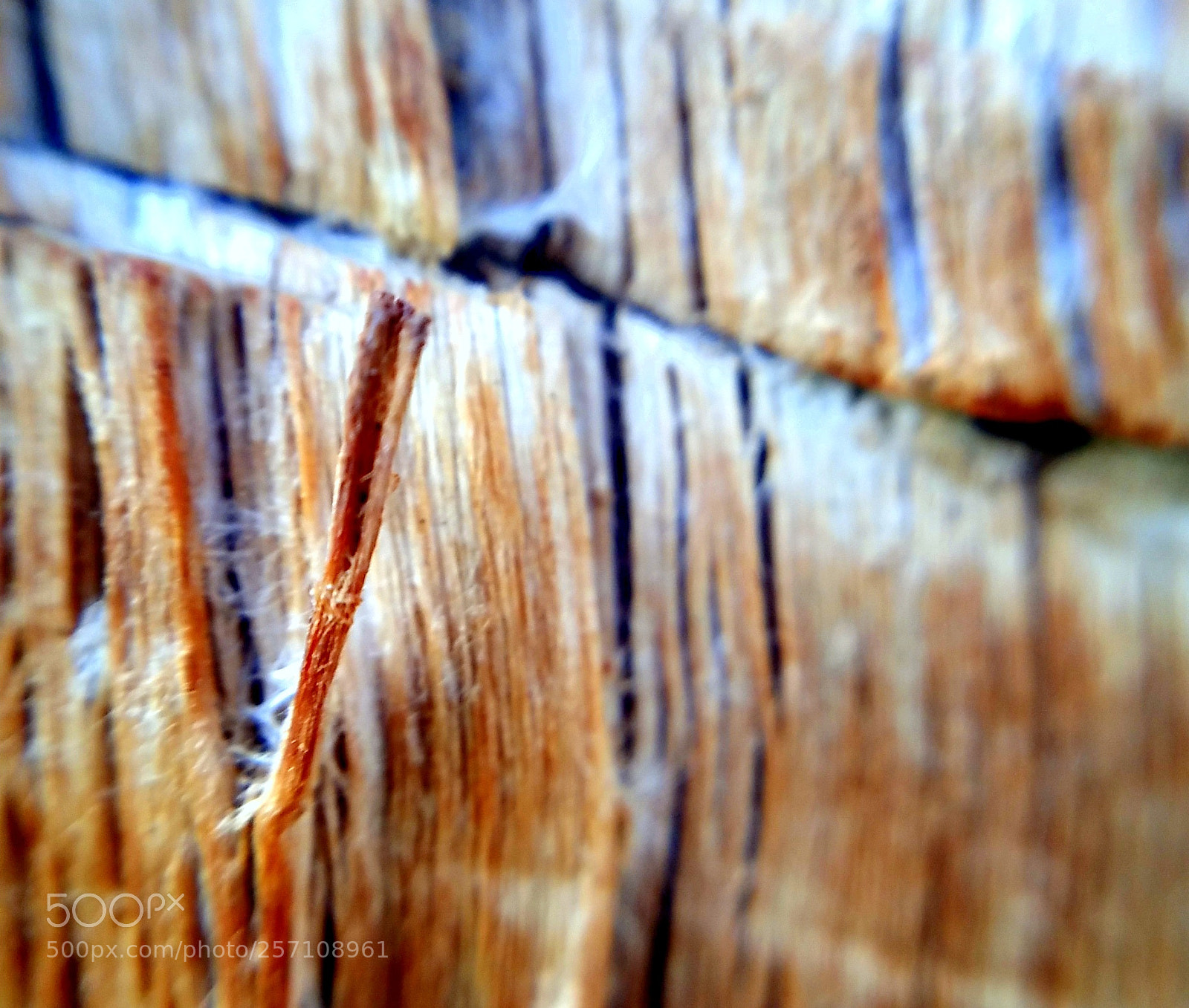 Samsung Galaxy Note4 sample photo. Stick out photography