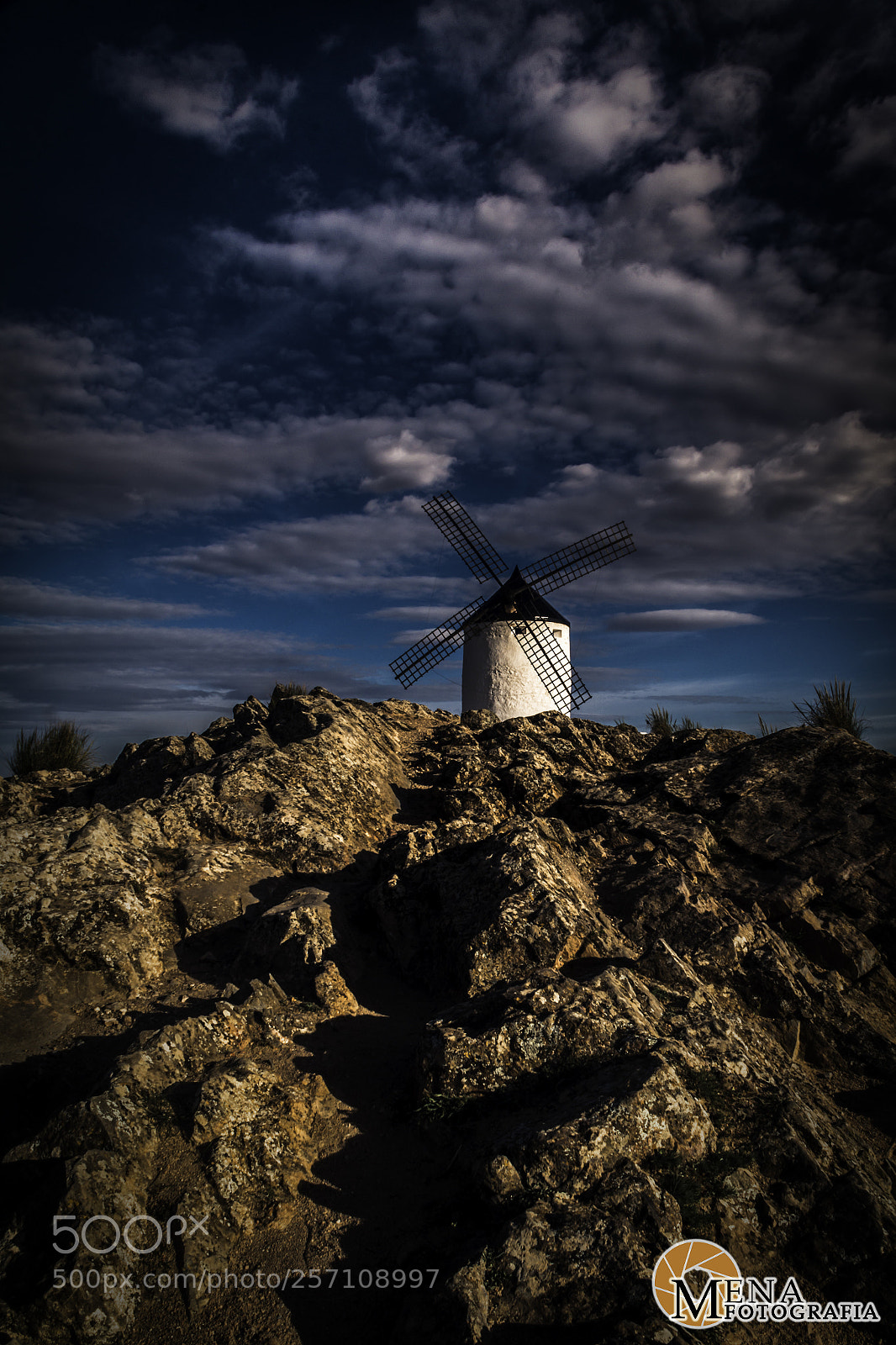 Canon EOS 70D sample photo. Gigante a la vista photography