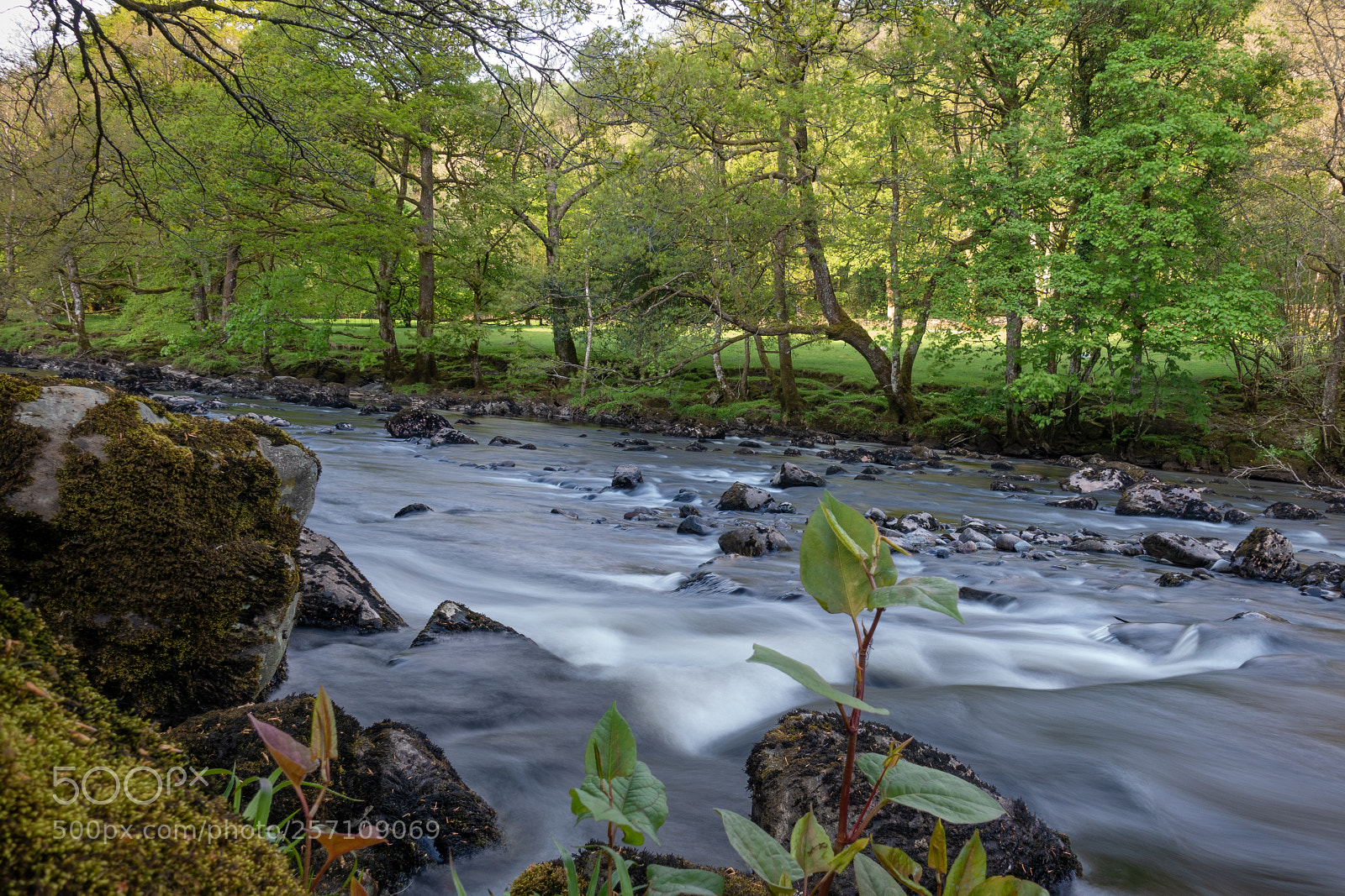 Sony DSC-RX100M5 sample photo. Wales photography