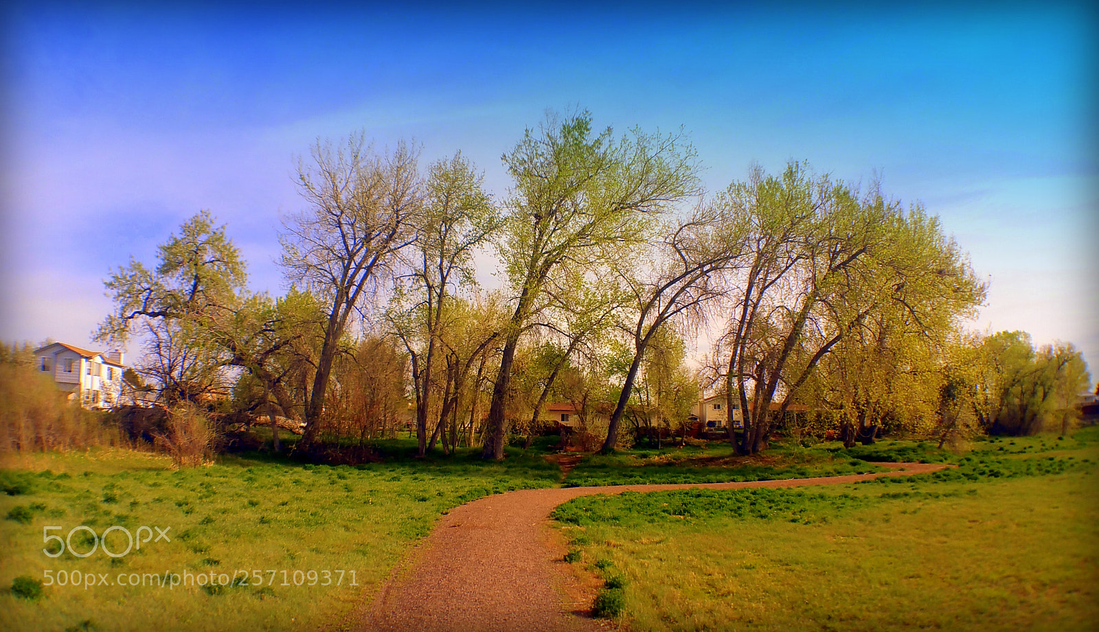 Samsung Galaxy Note4 sample photo. Tree bar photography