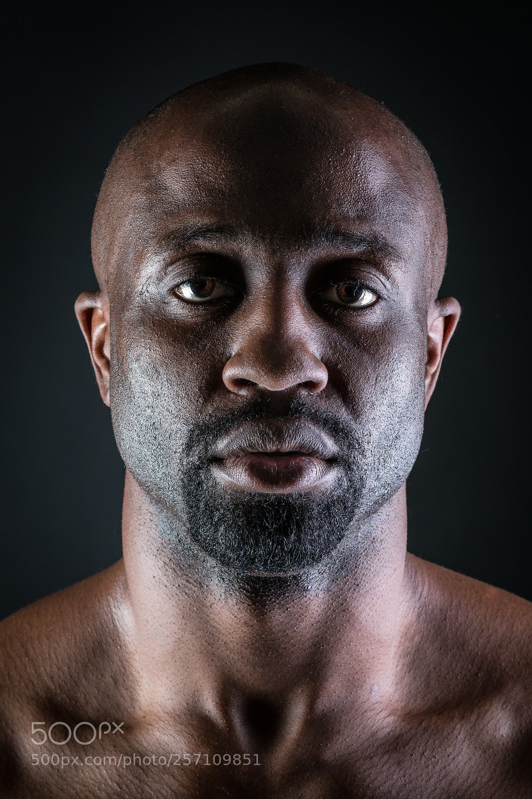 Canon EOS 70D sample photo. Portrait of jeff photography