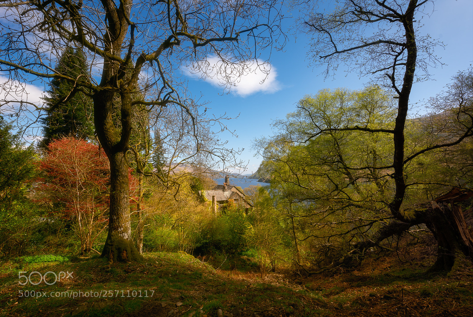Nikon D810 sample photo. Mansion in the woods photography