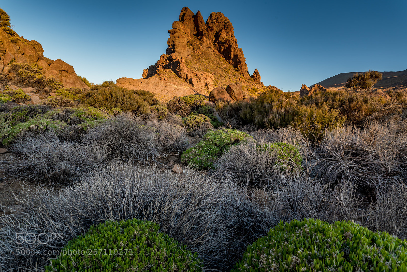 Nikon D750 sample photo. Teide national park photography