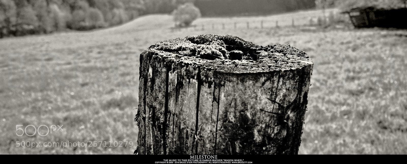 Sony Alpha DSLR-A230 sample photo. Milestone photography