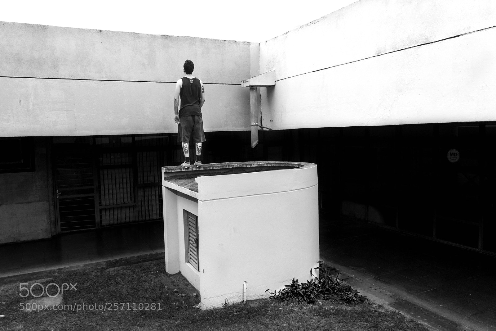 Nikon D7200 sample photo. Editar photography
