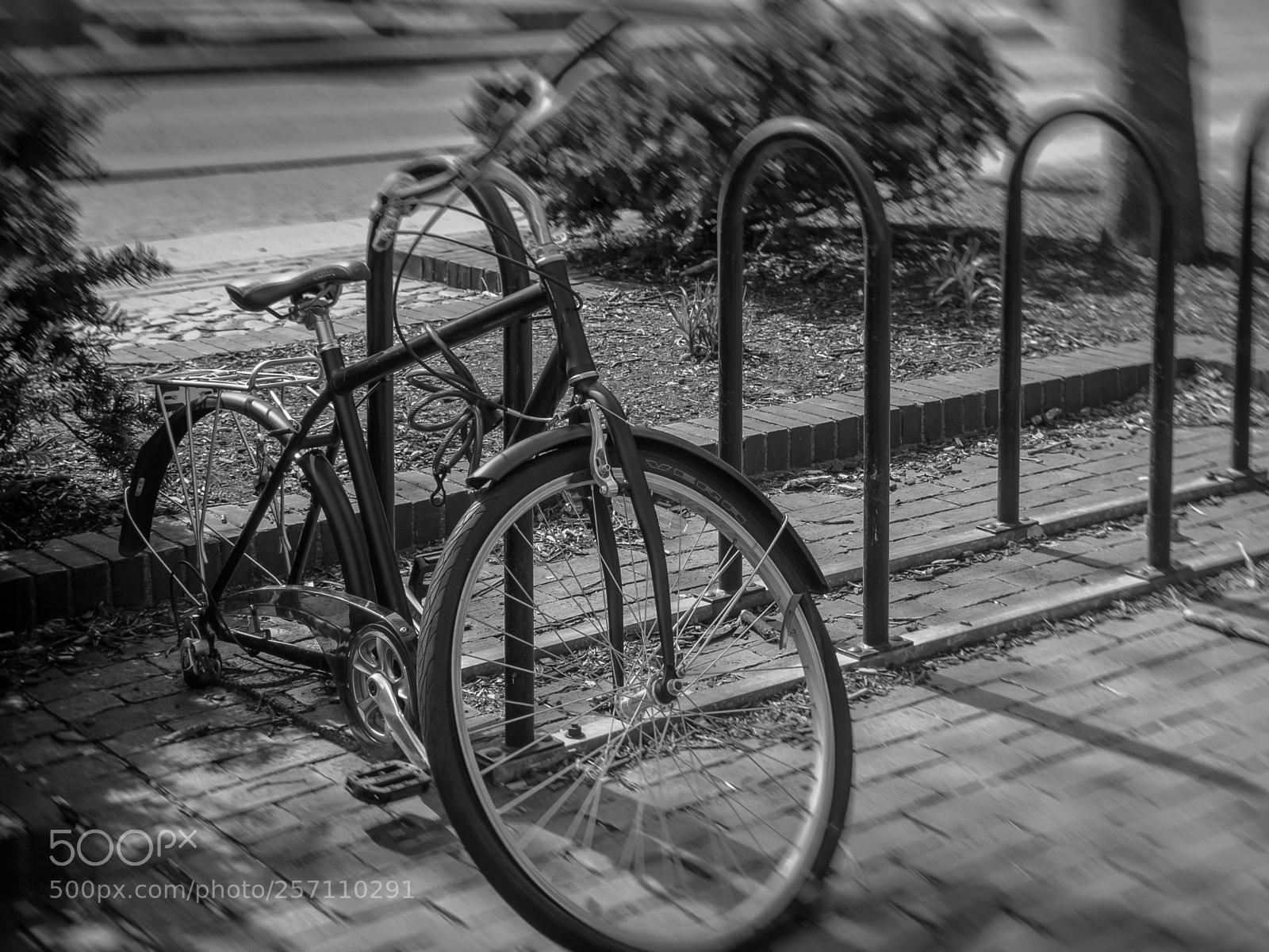 Olympus OM-D E-M5 II sample photo. Crippled bike bicycle series photography