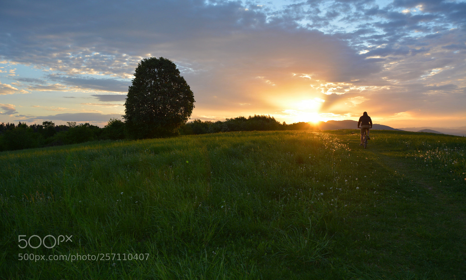 Nikon D7100 sample photo. To see the photography