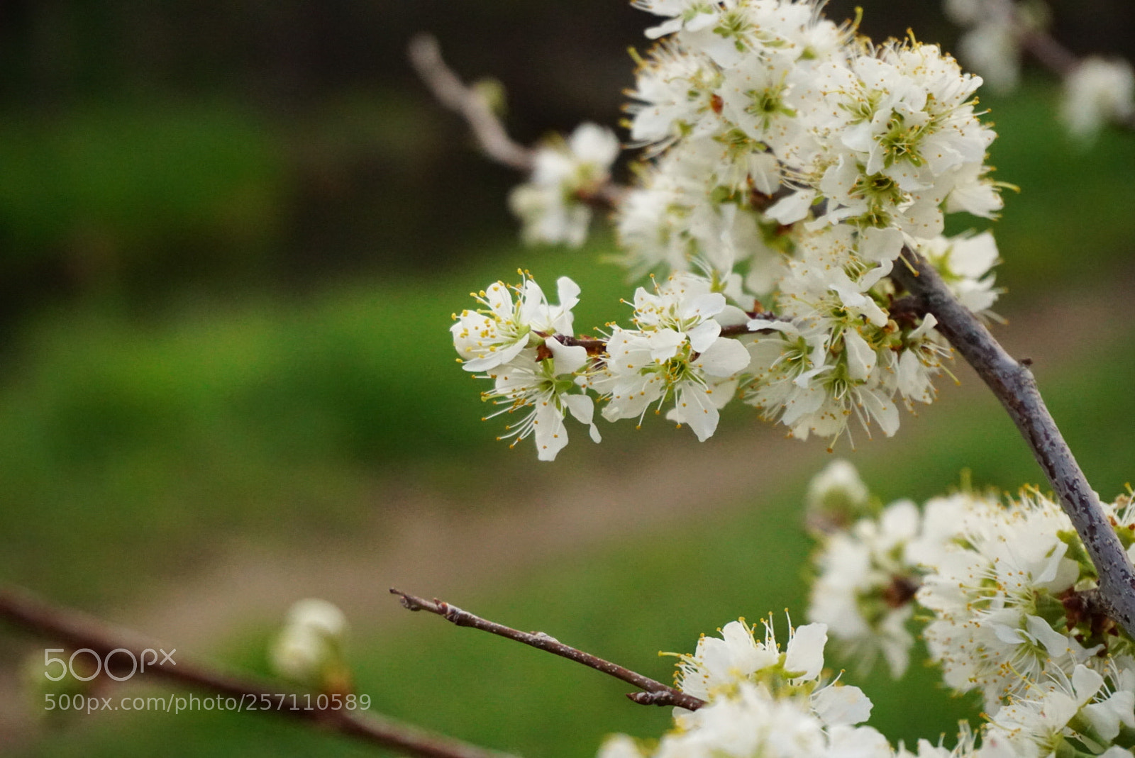 Sony a6300 sample photo. Lrg dsc photography