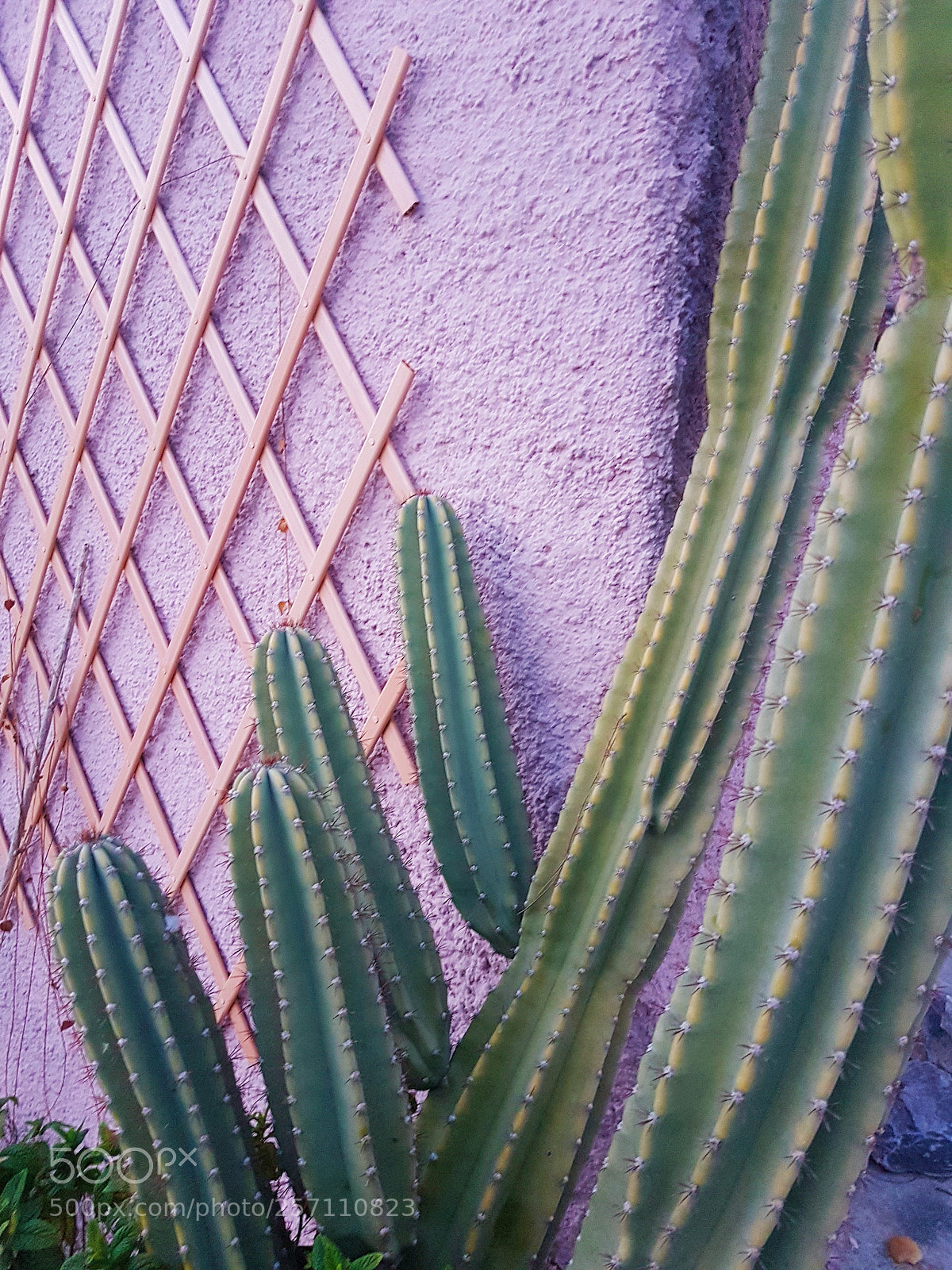 Samsung Galaxy S7 sample photo. Untitled photography