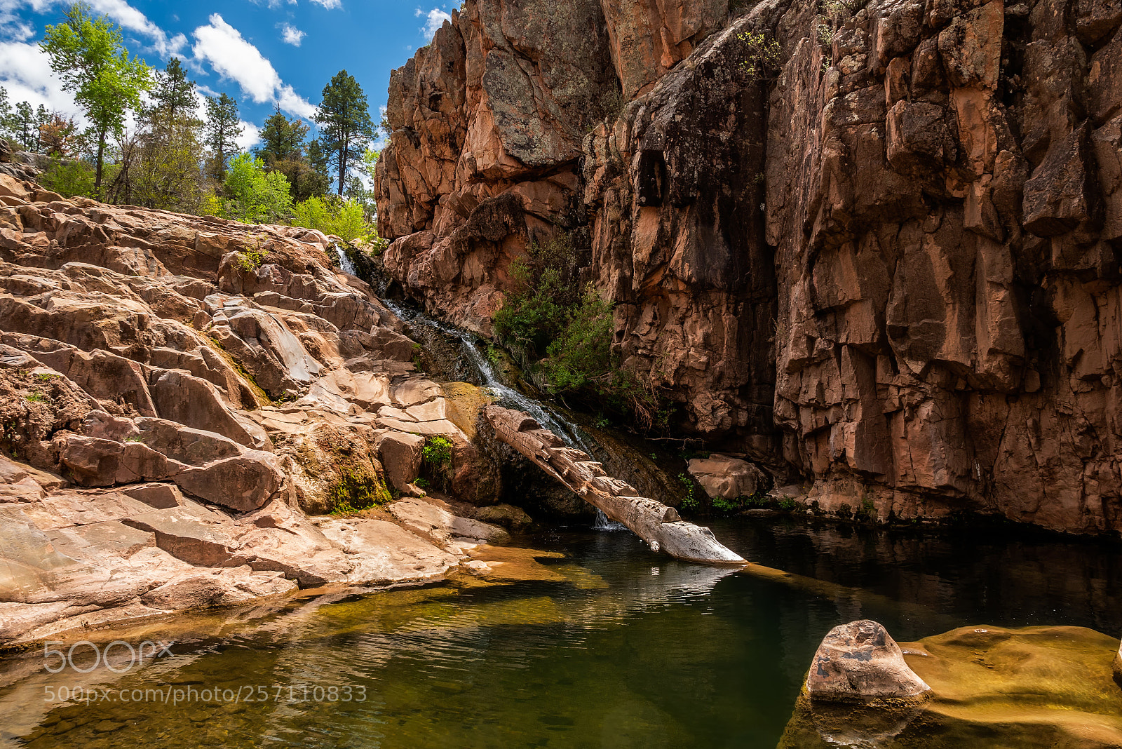 Panasonic Lumix DMC-G7 sample photo. The water hole photography