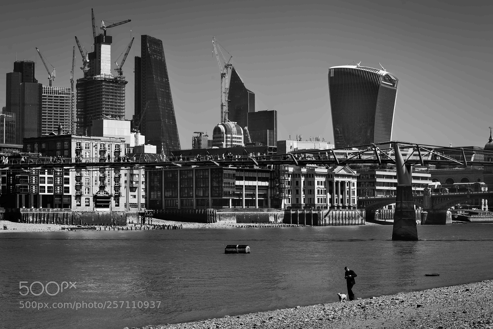 Nikon D810 sample photo. Bank holiday sun photography