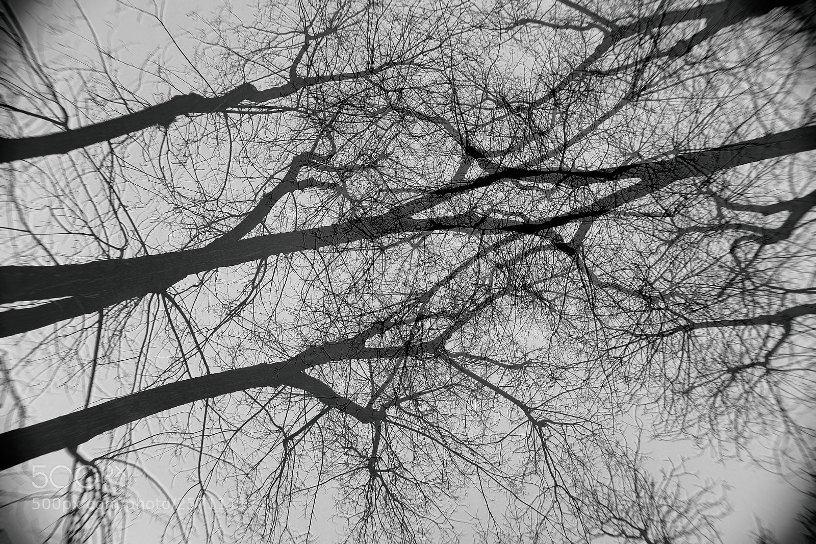 Fujifilm X100T sample photo. Neuronas photography