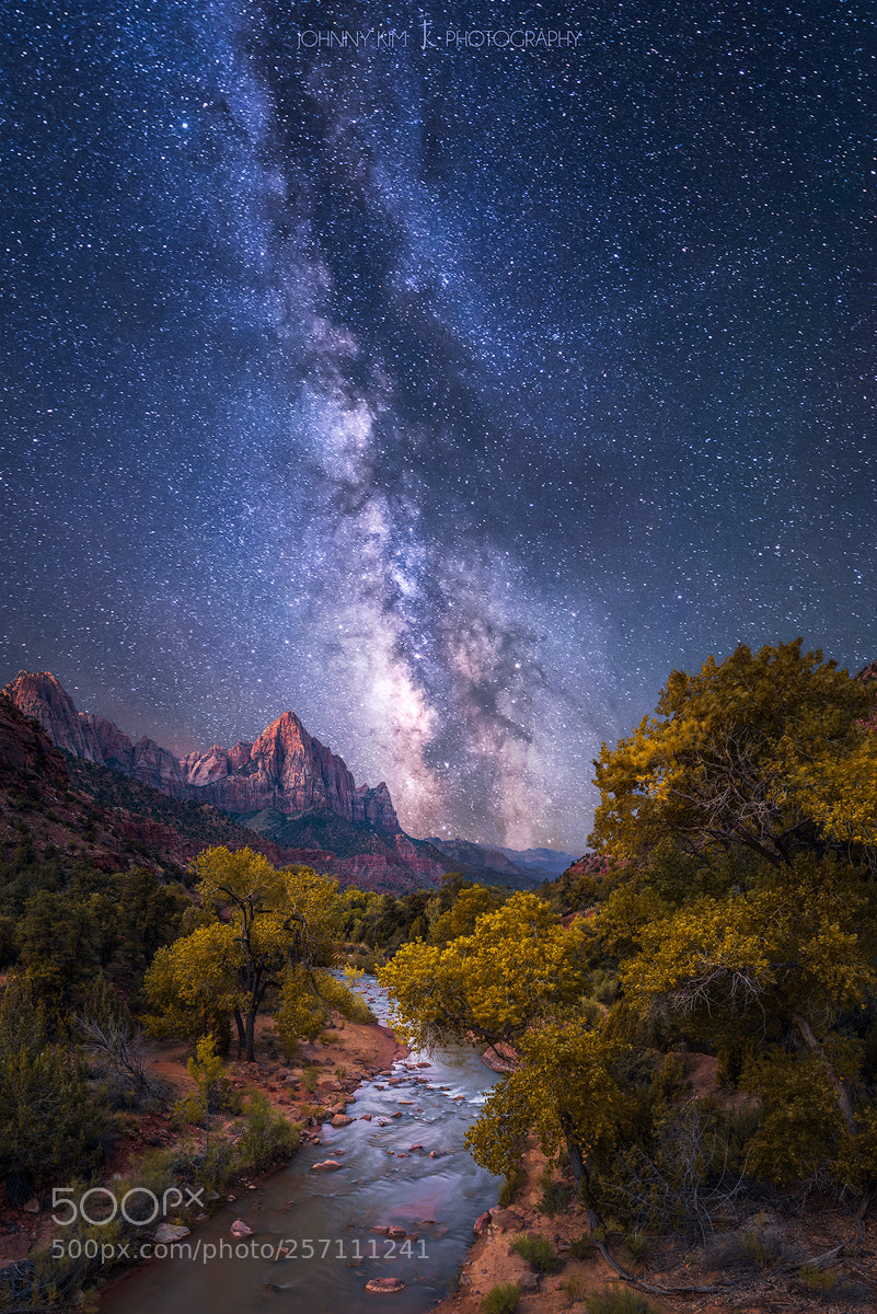Nikon D810 sample photo. Stars were made to photography