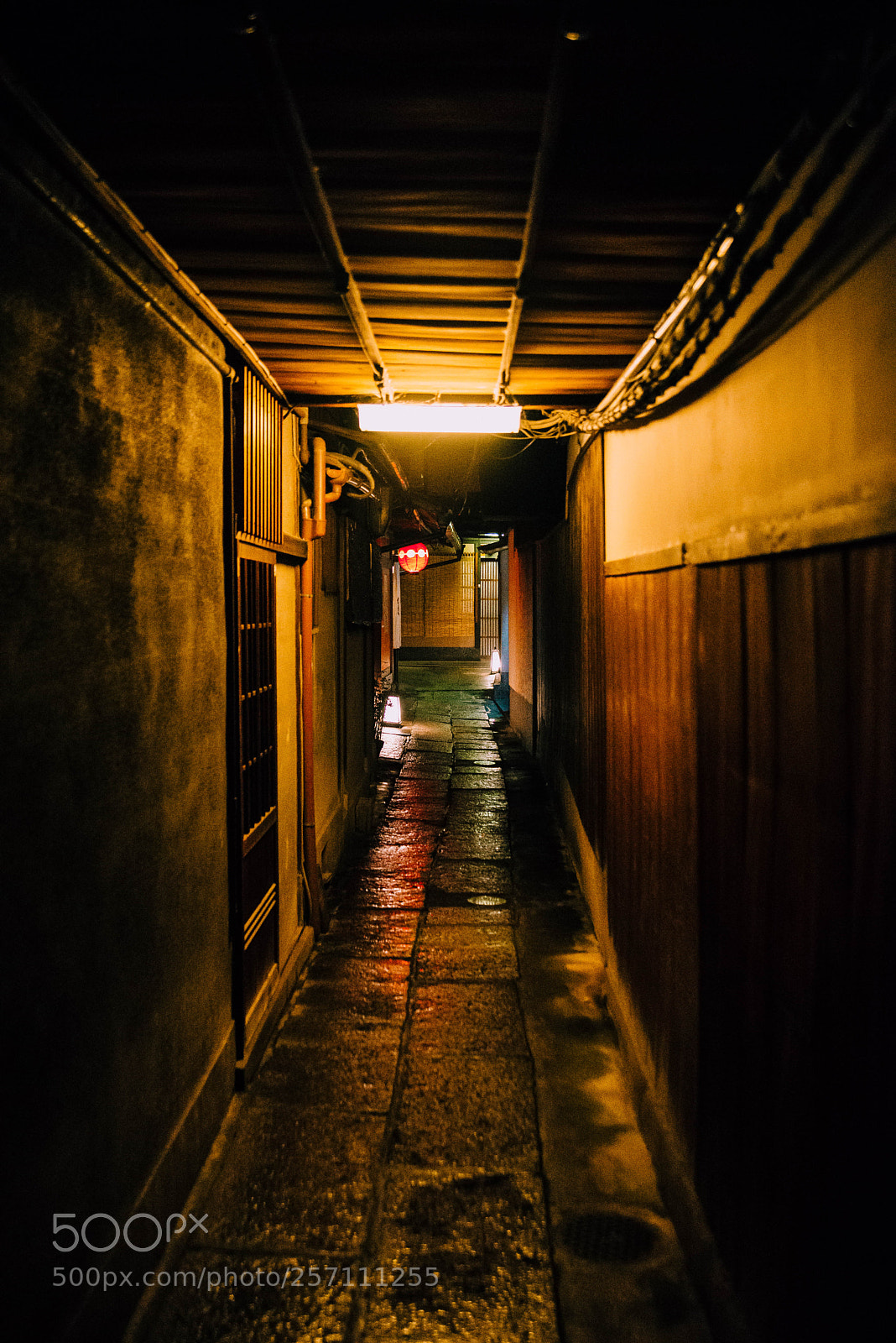 Nikon D610 sample photo. Gion alley photography