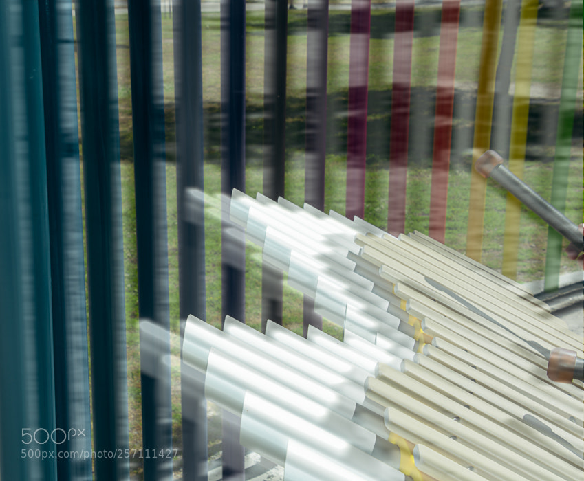 Nikon D7100 sample photo. Vibrations photography