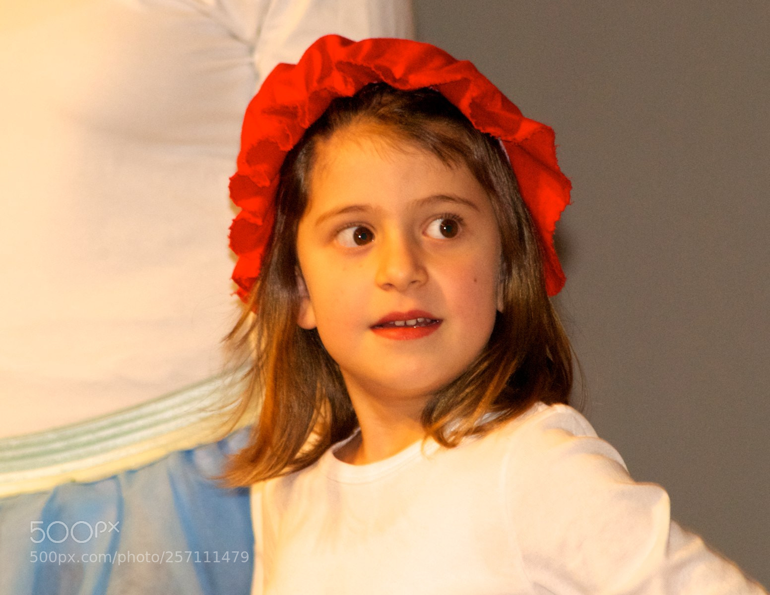 Nikon D60 sample photo. Version photography