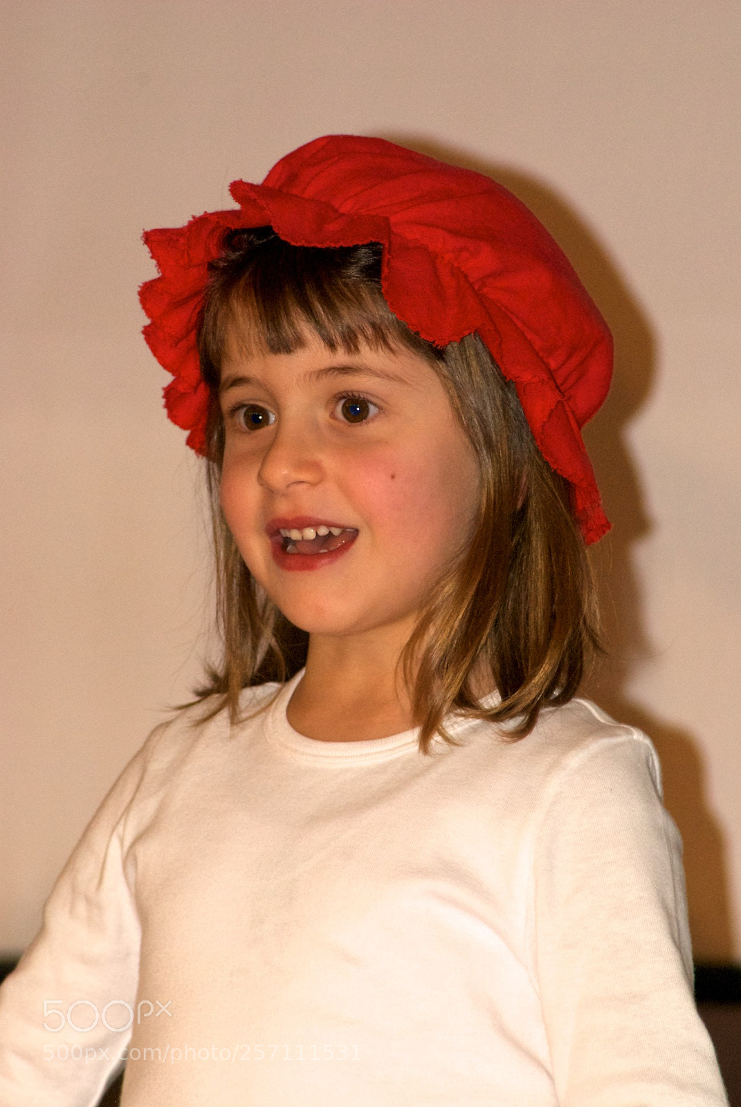 Nikon D60 sample photo. Version photography