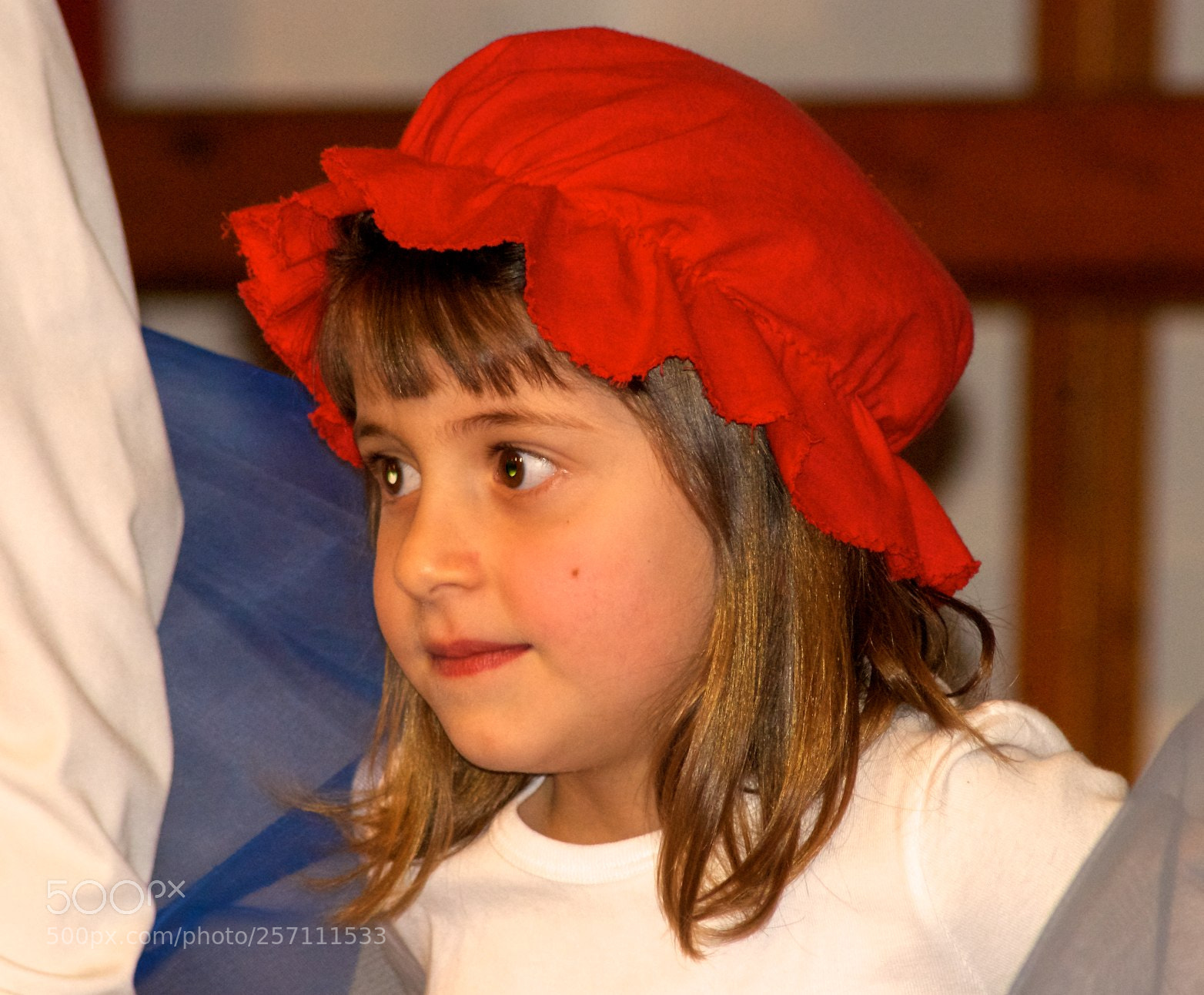 Nikon D60 sample photo. Version photography