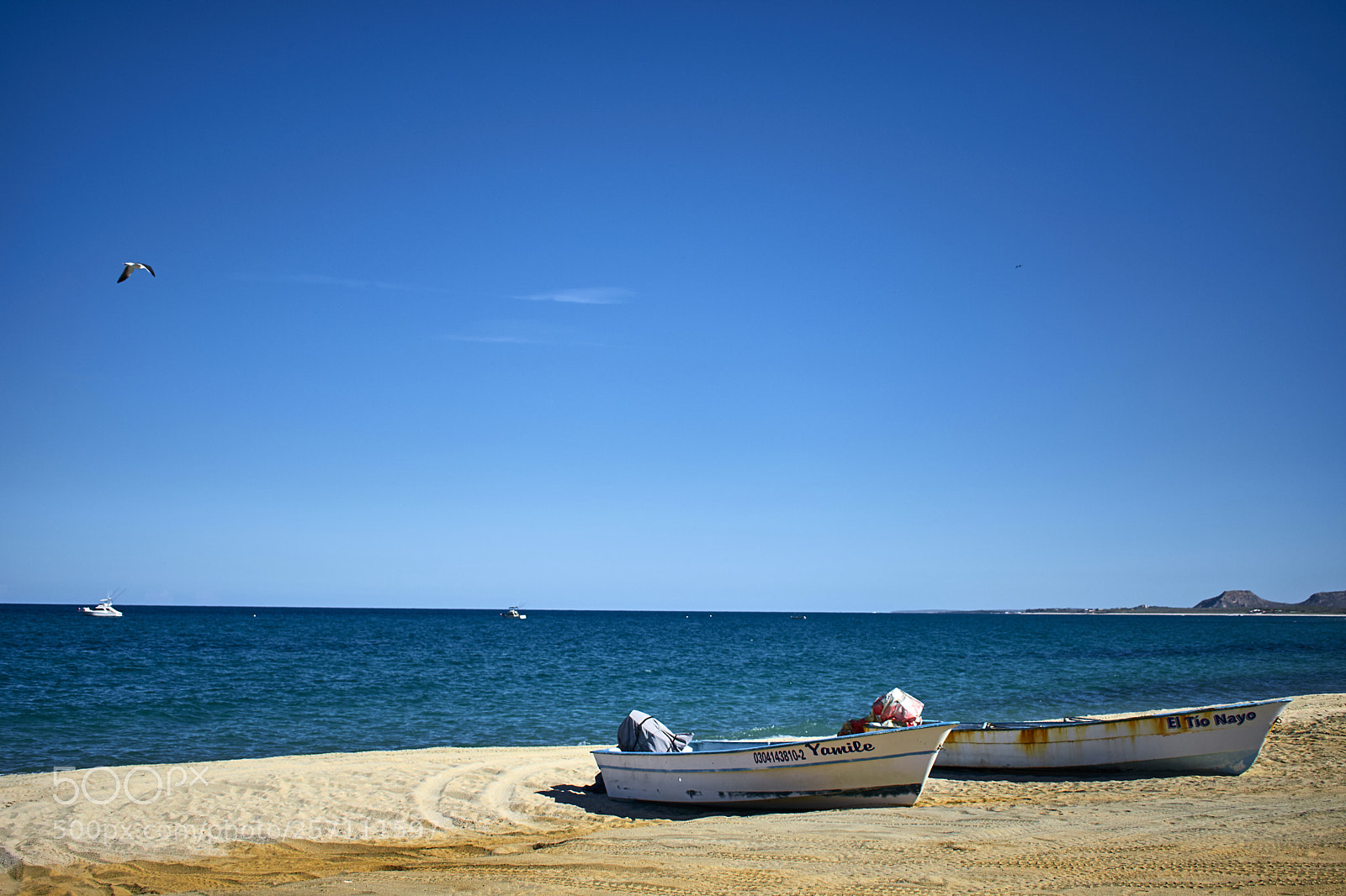 Nikon D3400 sample photo. La pesca photography