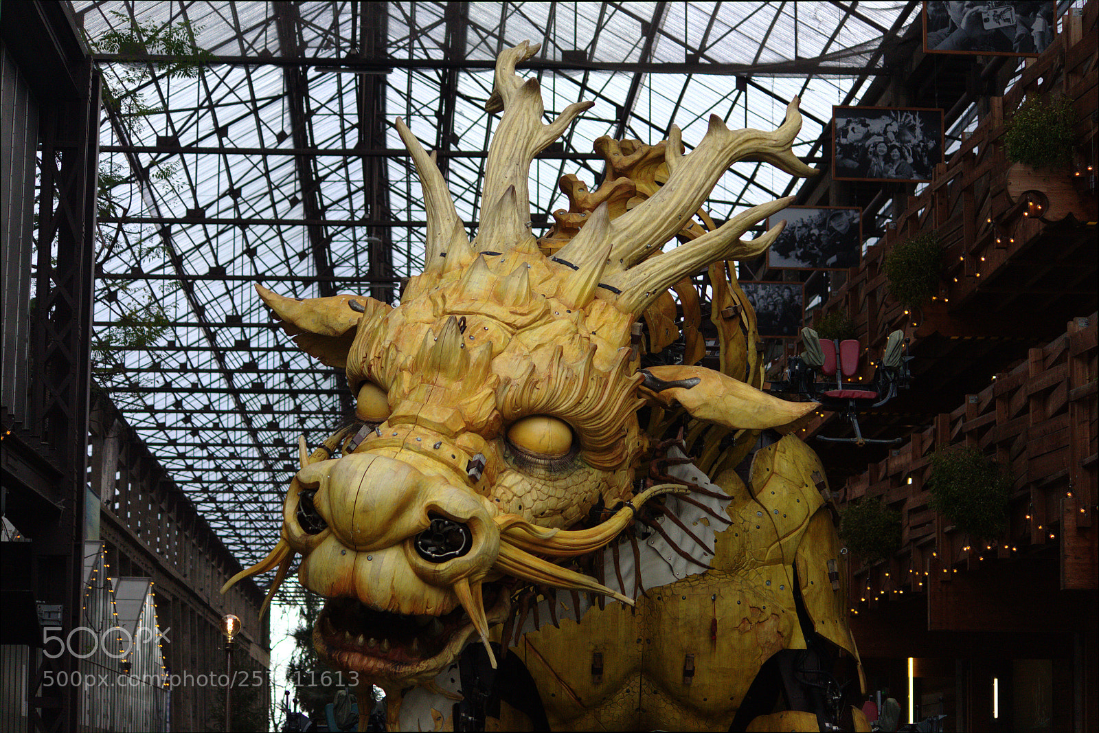Canon EF-S 55-250mm F4-5.6 IS II sample photo. Dragon photography