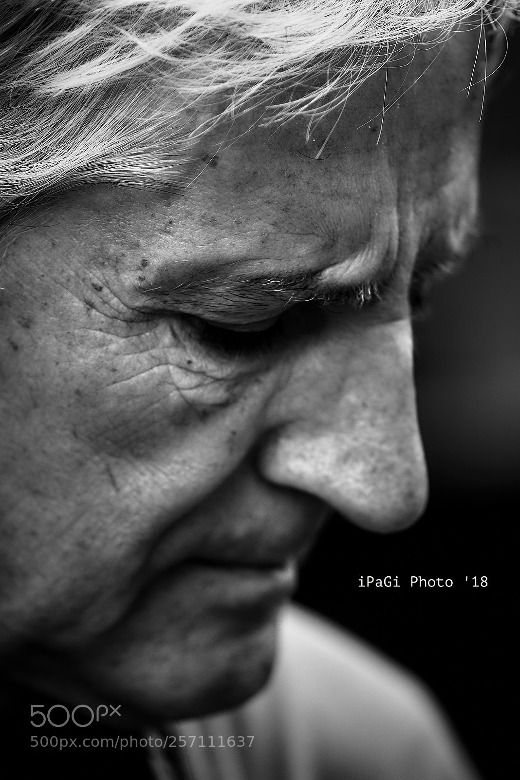 Nikon D750 sample photo. Fotografo #1 photography
