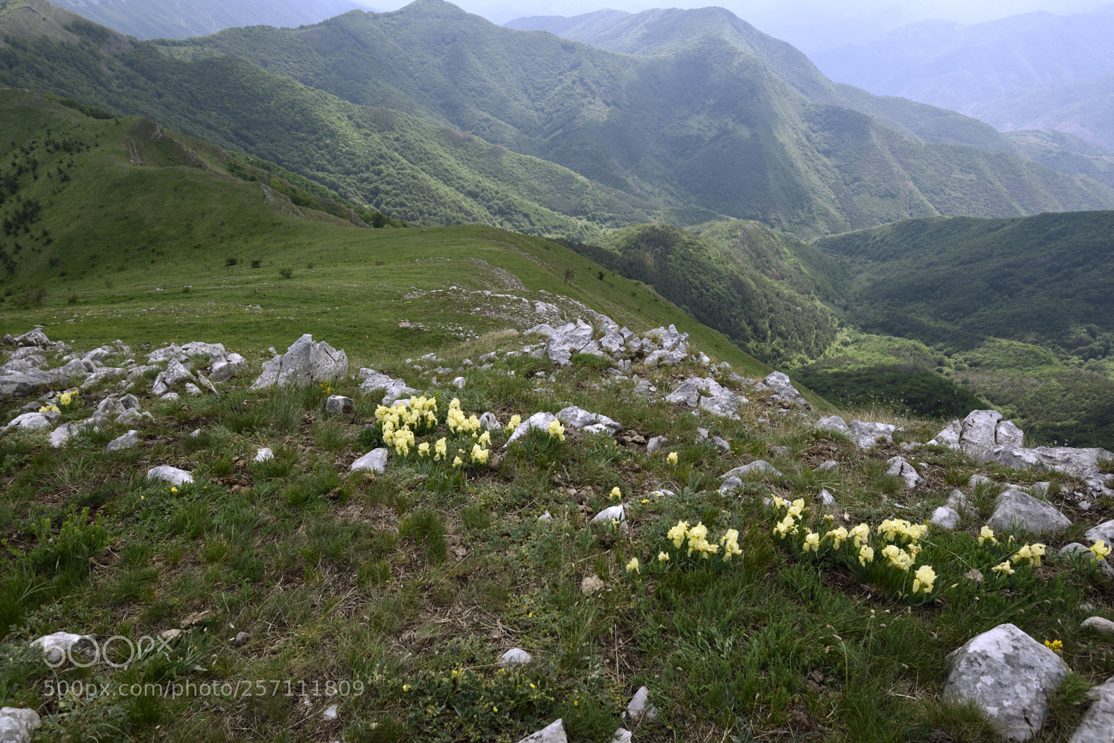 Nikon D750 sample photo. Vrachanski balkan nature park photography