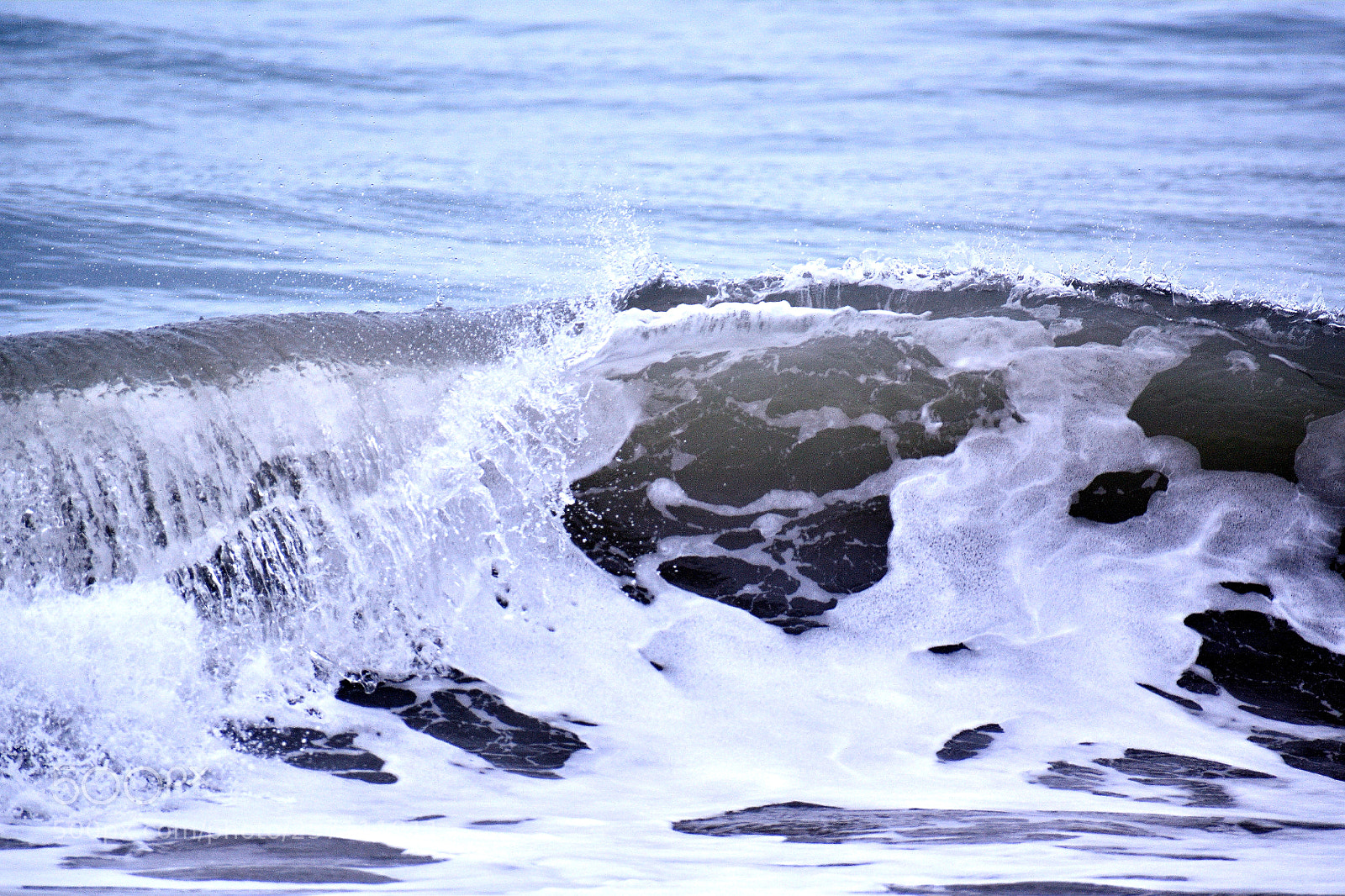 Nikon D5600 sample photo. Untitled photography