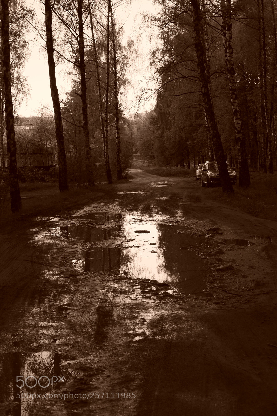 Fujifilm X-Pro1 sample photo. Dirt symphony # 205 photography