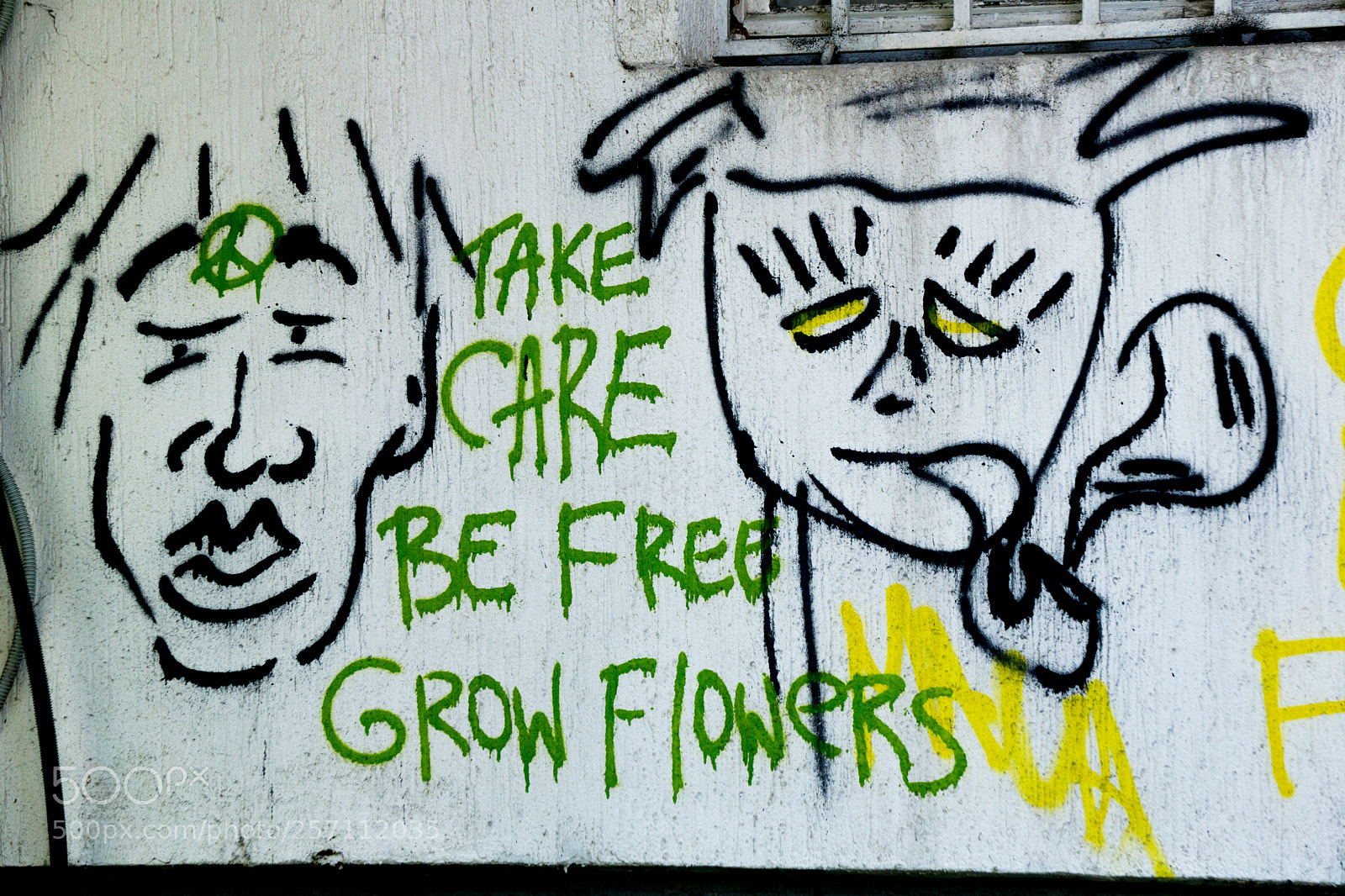 Sony a6000 sample photo. Be free - grow photography