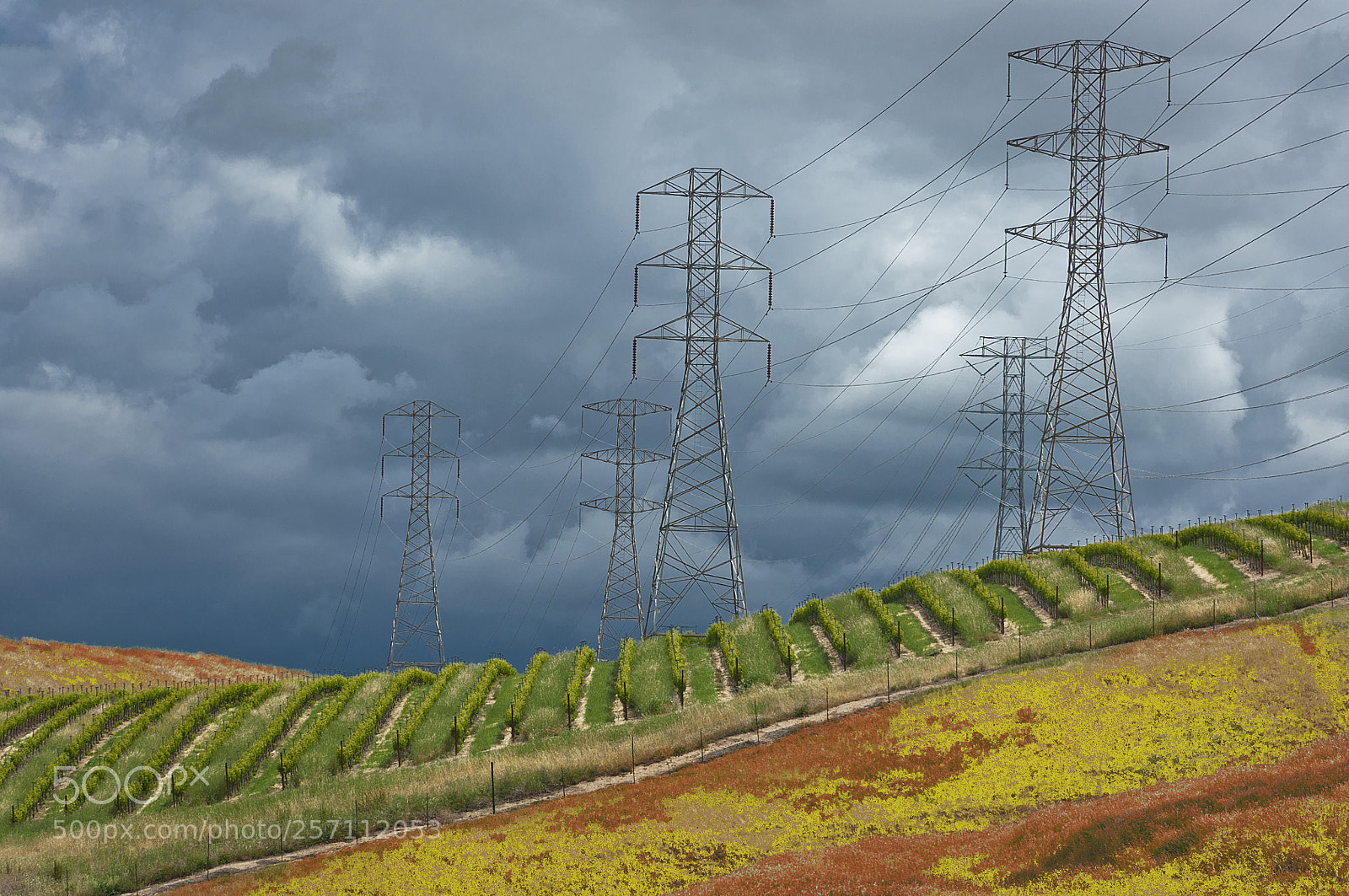 Nikon D90 sample photo. Rural modernization photography